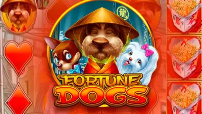 fortune dogs